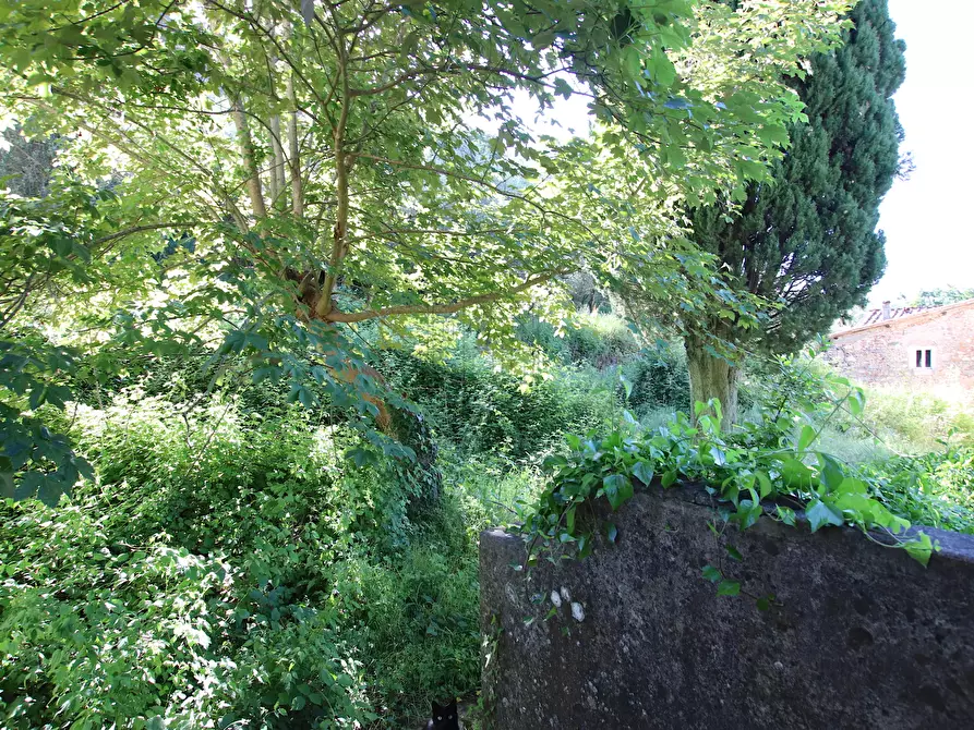 Immagine 22 di Rustico / casale in vendita  in Guamo 34A a Capannori