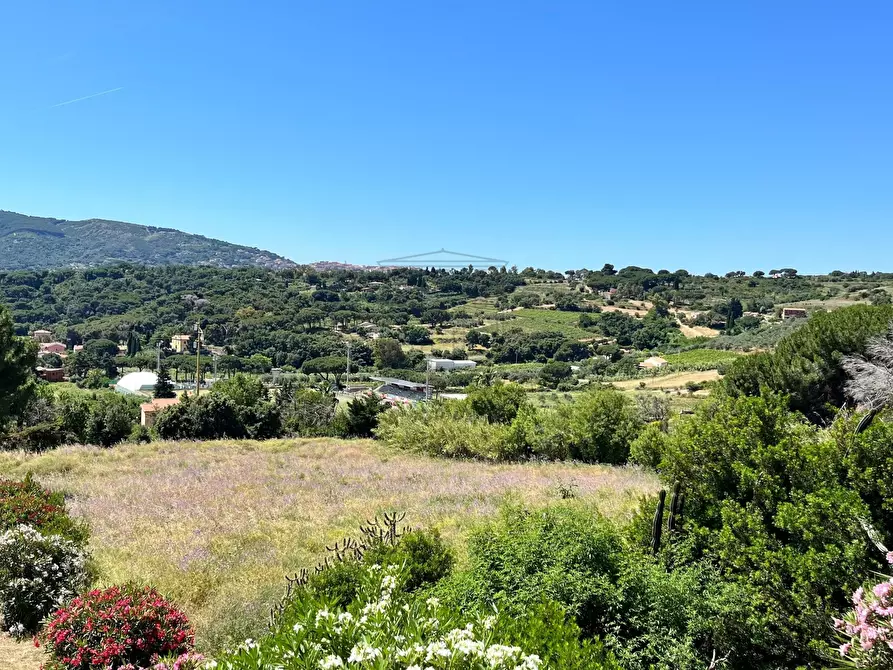 Immagine 9 di Rustico / casale in vendita  in Località Monte 4 a Porto Azzurro