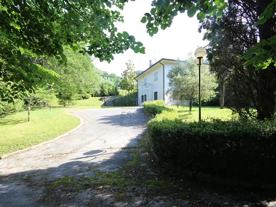 Immagine 4 di Villa in vendita  in via pradalino a Camaiore