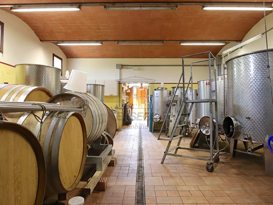 Immagine 26 di Rustico / casale in vendita  in Via del Francia 95 a Lucca