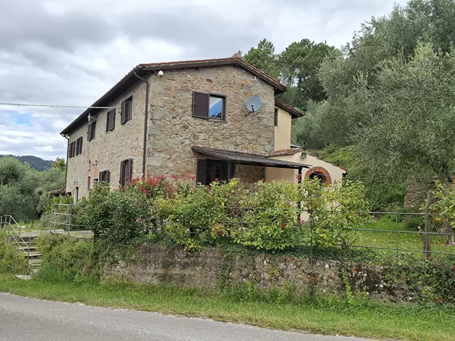 Immagine 3 di Rustico / casale in vendita  in Via Casa Nuova a Pescia