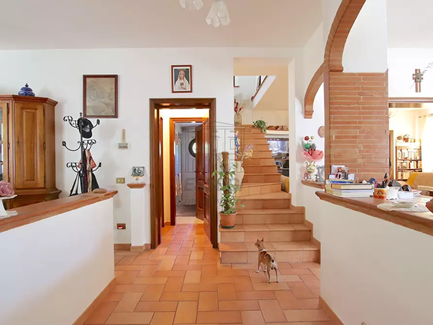 Immagine 14 di Rustico / casale in vendita  in Via di Tiglio a Capannori