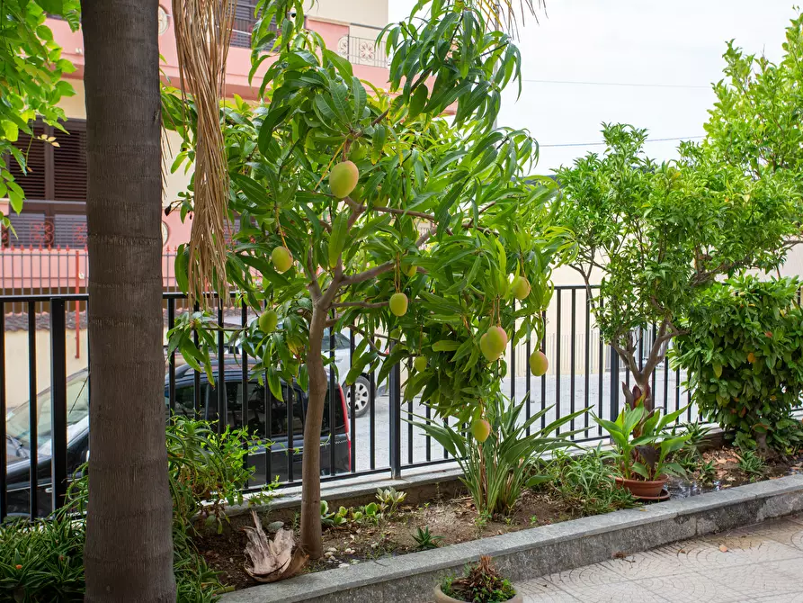 Immagine 6 di Casa indipendente in vendita  in Viale Aldo Moro 5 a Bova Marina