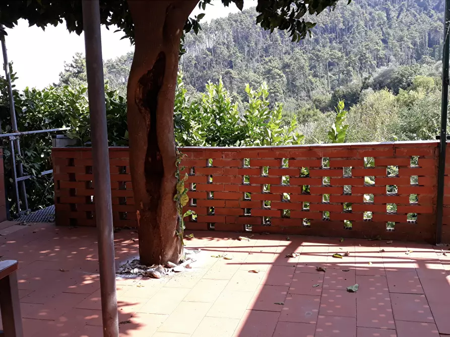 Immagine 15 di Casa indipendente in vendita  a Ameglia