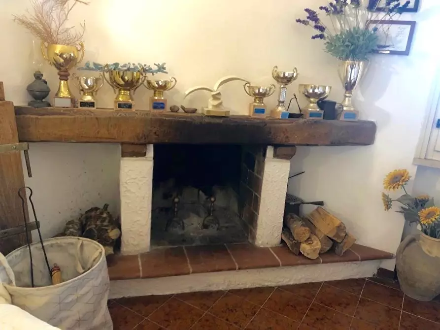 Immagine 4 di Bilocale in affitto  a Ameglia