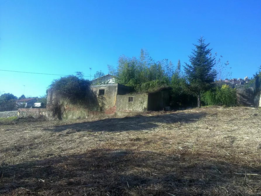 Immagine 5 di Terreno edificabile in vendita  a Ortonovo