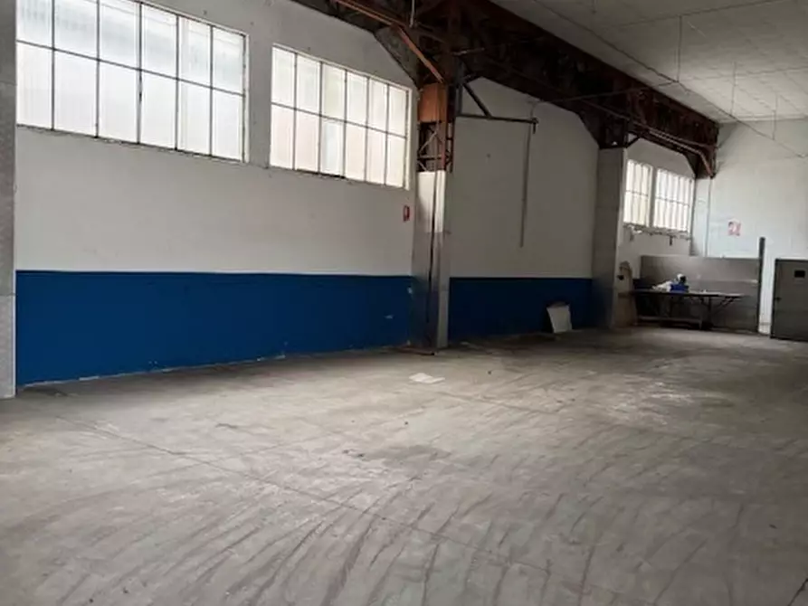 Immagine 3 di Capannone industriale in affitto  in Via degli Oliveti a Massa
