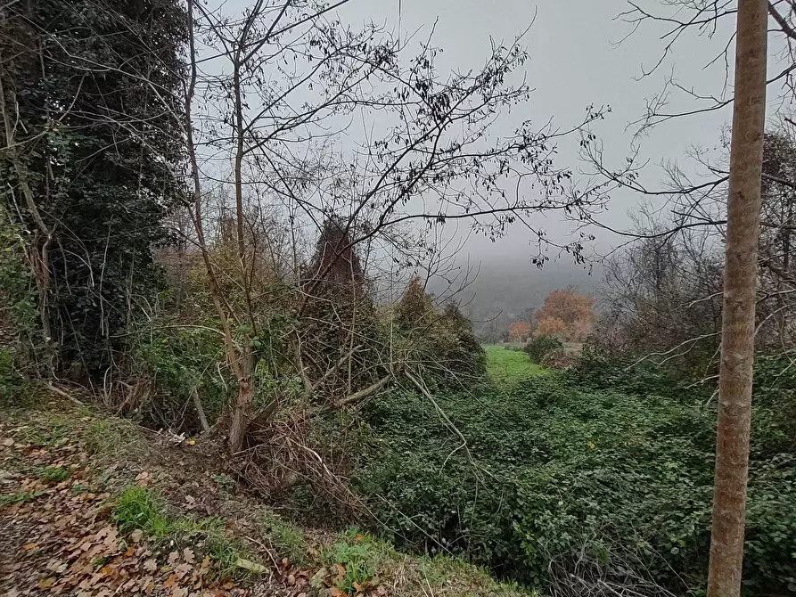 Immagine 21 di Casa indipendente in vendita  in Coste del molino snc a Poggio San Marcello