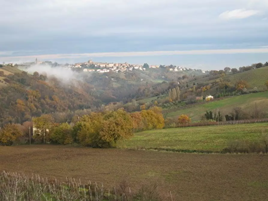 Immagine 31 di Casa indipendente in vendita  in Contrada Valle 6 a Poggio San Marcello