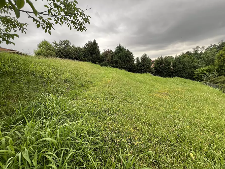 Immagine 7 di Terreno agricolo in vendita  in Via Stella a Valsamoggia