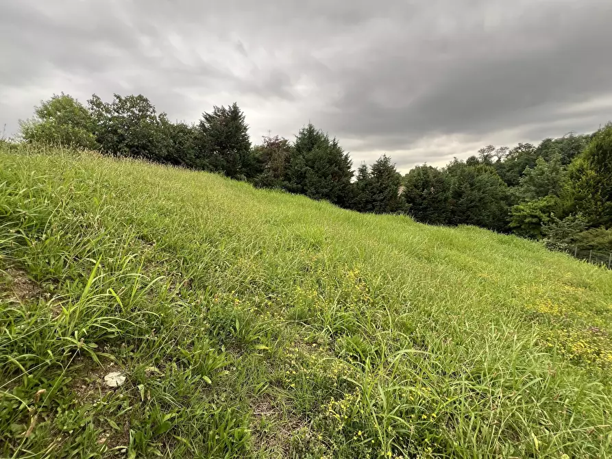 Immagine 6 di Terreno agricolo in vendita  in Via Stella a Valsamoggia