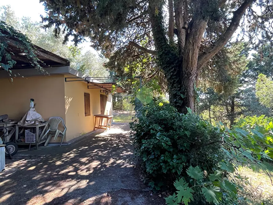 Immagine 18 di Terreno agricolo in vendita  in Via delle More 8 a Livorno