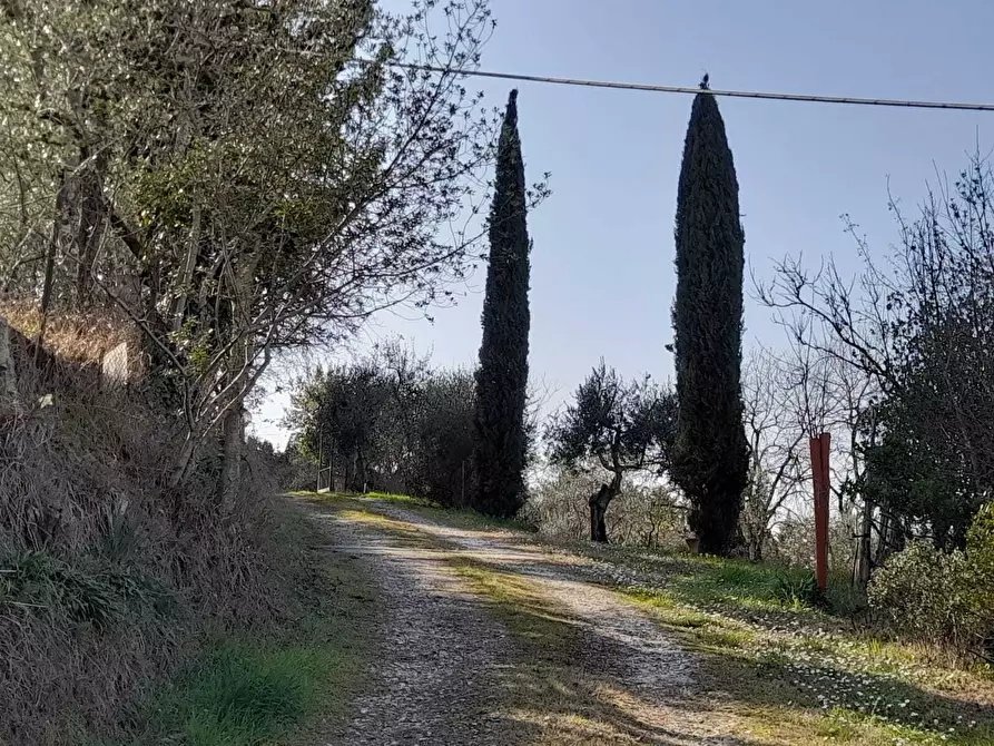 Immagine 36 di Casa indipendente in vendita  in Via Poggio di Pozzolatico a Impruneta