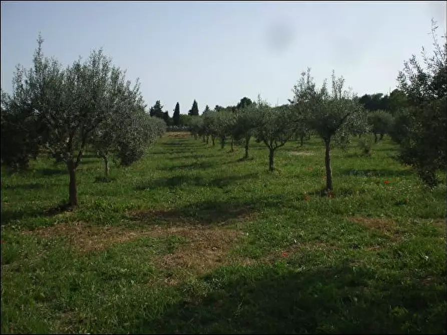 Immagine 1 di Terreno agricolo in vendita  a Palazzolo Acreide
