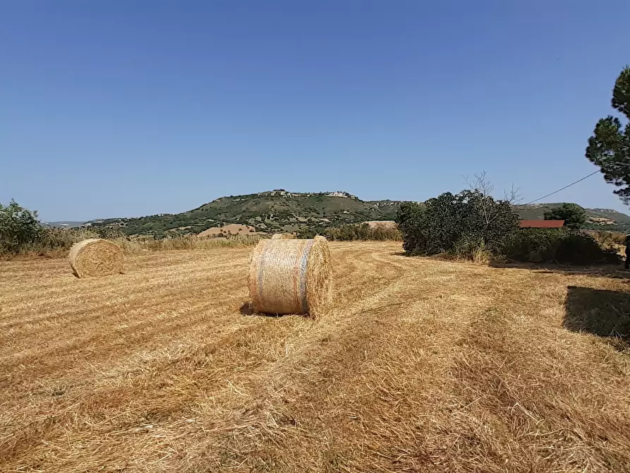 Immagine 51 di Rustico / casale in vendita  in c.da Poi a Palazzolo Acreide