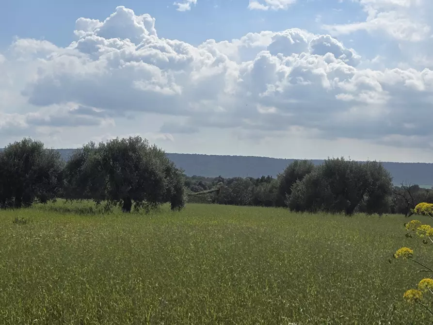 Immagine 25 di Villa in vendita  in Cavasecca a Canicattini Bagni