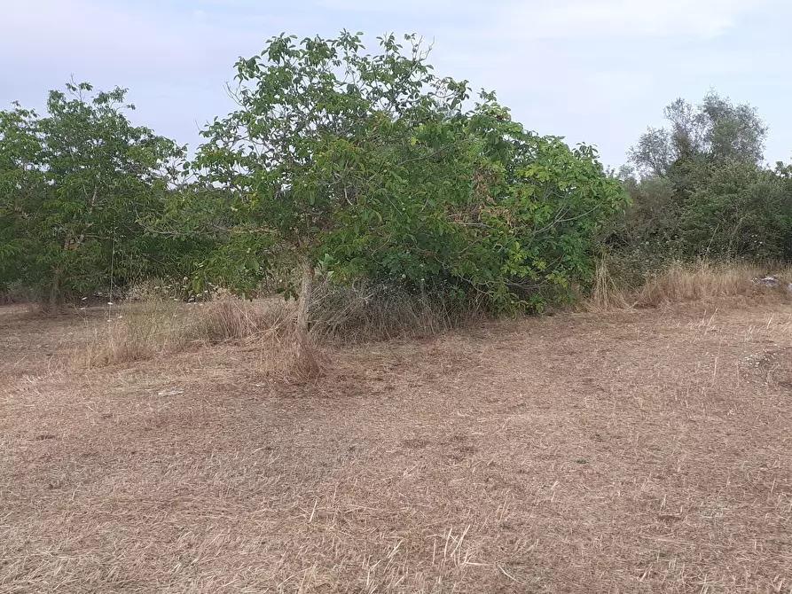 Immagine 66 di Villetta a schiera in vendita  in Via Acre 19 a Palazzolo Acreide