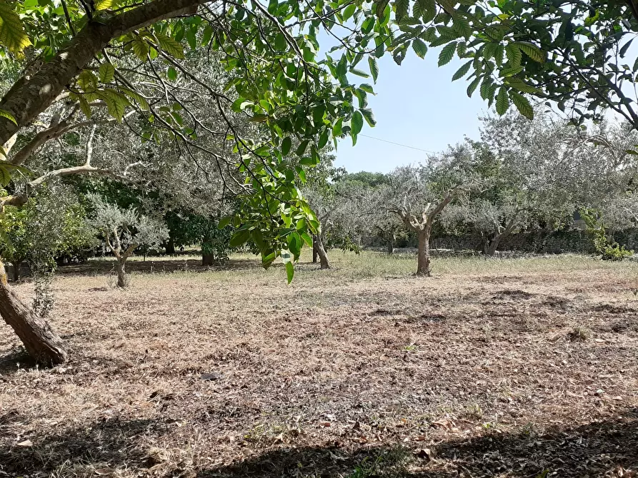 Immagine 52 di Rustico / casale in vendita  in Strada Provinciale 24 21 a Noto