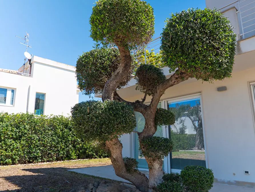 Immagine 3 di Villa in vendita  in Via dell'Airone 3 a Siracusa
