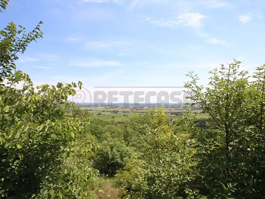 Immagine 19 di Terreno agricolo in vendita  in Via Castellaro a Castegnero