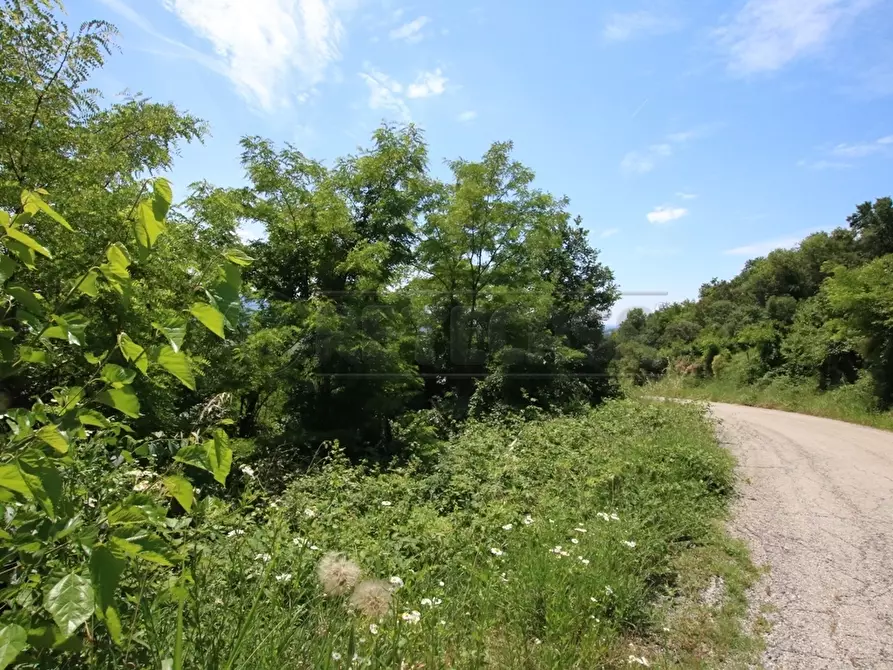 Immagine 18 di Terreno agricolo in vendita  in Via Castellaro a Castegnero