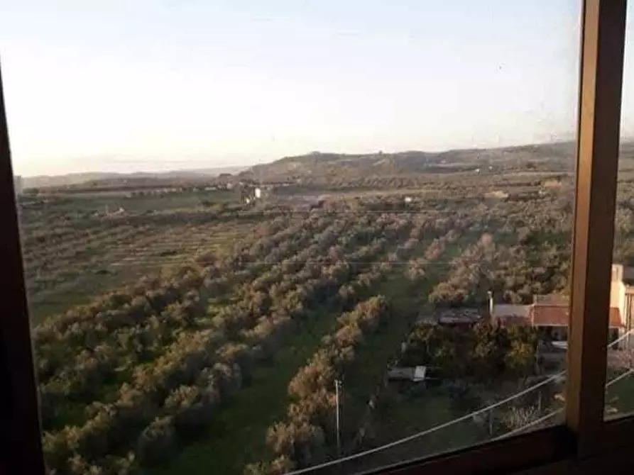 Immagine 6 di Pentalocale in vendita  a Castelvetrano