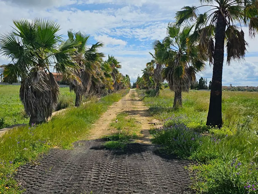 Immagine 13 di Villa in vendita  a Mazara Del Vallo