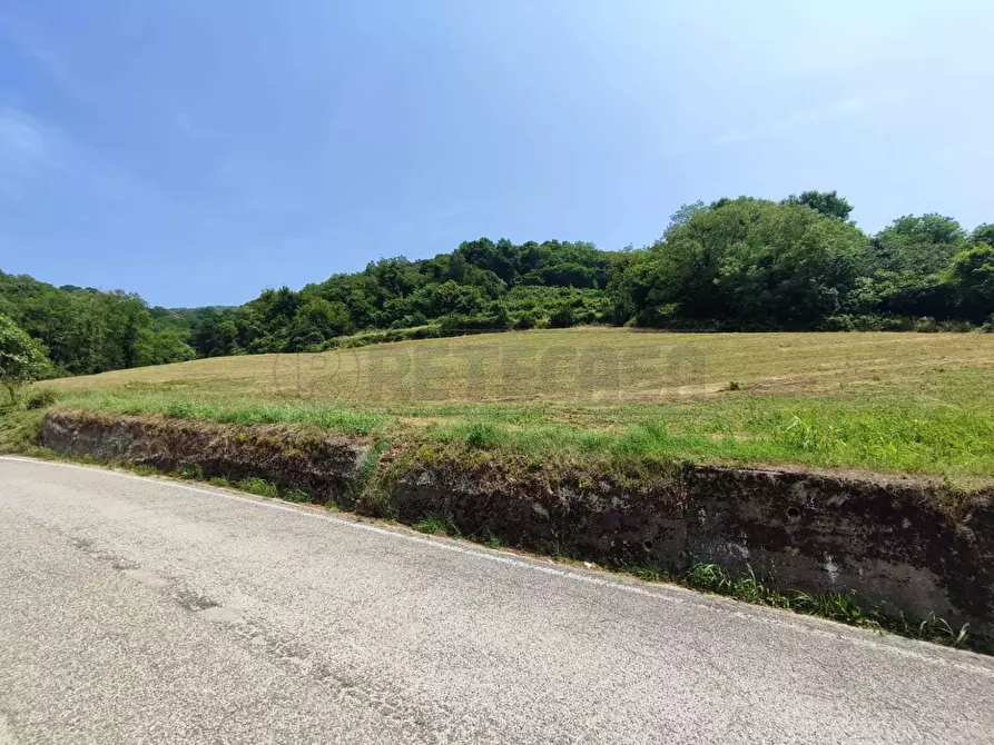 Immagine 9 di Terreno agricolo in vendita  in Via Sgaggeri 4 a Chiampo