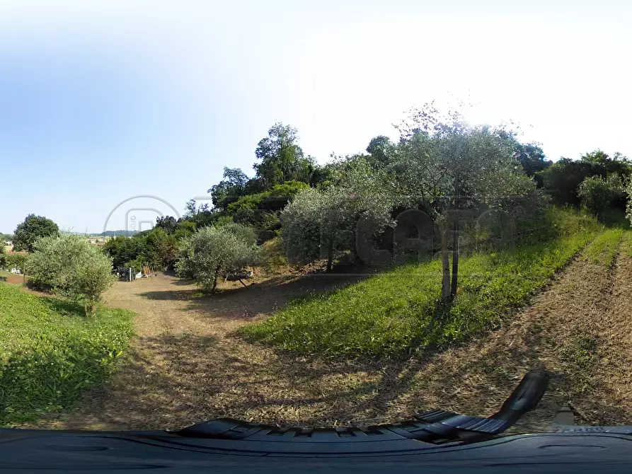 Immagine 45 di Terreno agricolo in vendita  in Via Bazziola a Monteviale