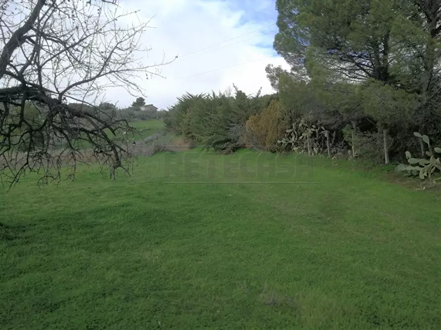 Immagine 4 di Terreno agricolo in vendita  in CONTRADA DUE FONTANE a Caltanissetta