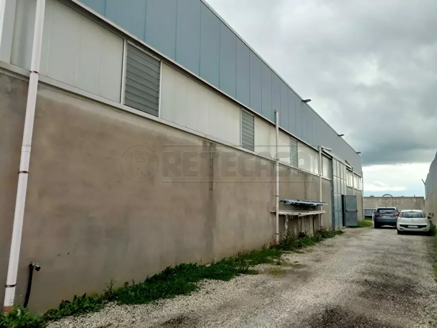 Immagine 4 di Attività artigianale in vendita  a Castelvetrano