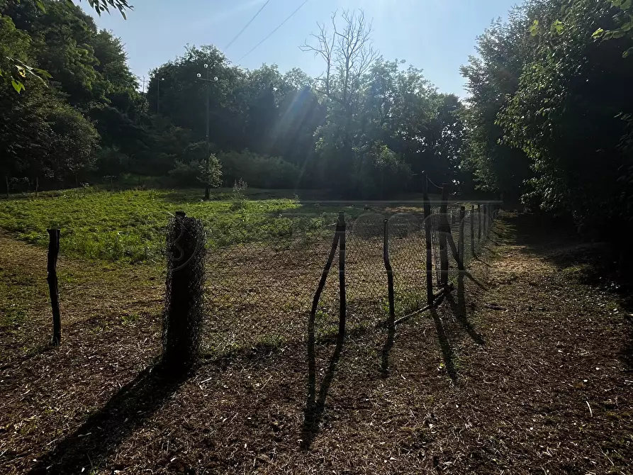 Immagine 36 di Terreno agricolo in vendita  in Via Bazziola a Monteviale