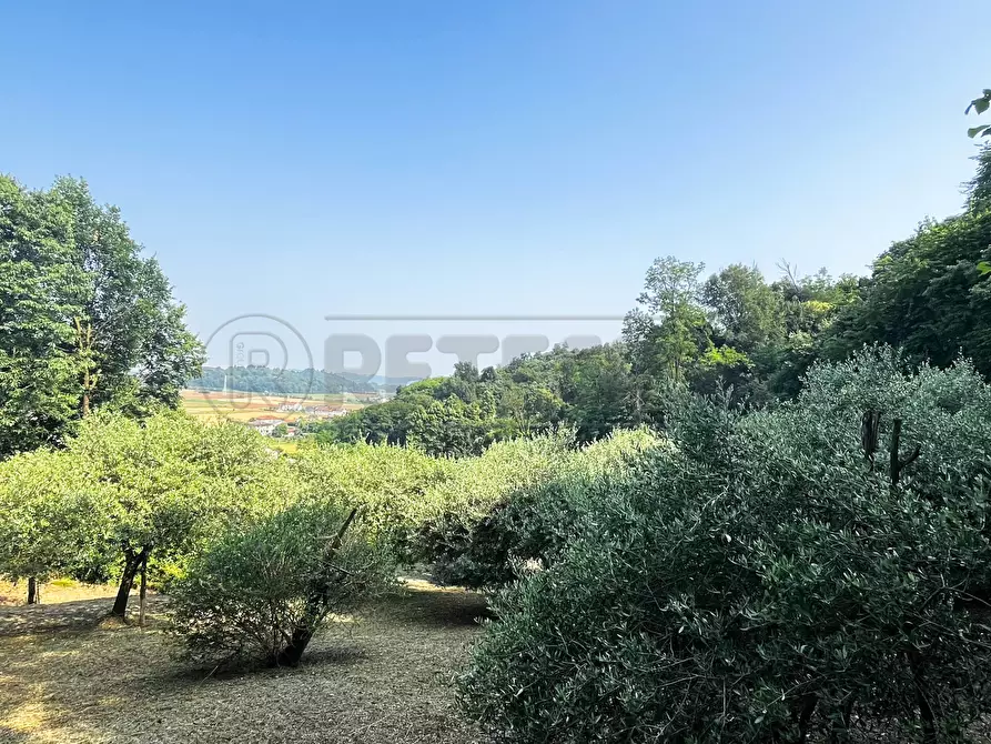 Immagine 15 di Terreno agricolo in vendita  in Via Bazziola a Monteviale