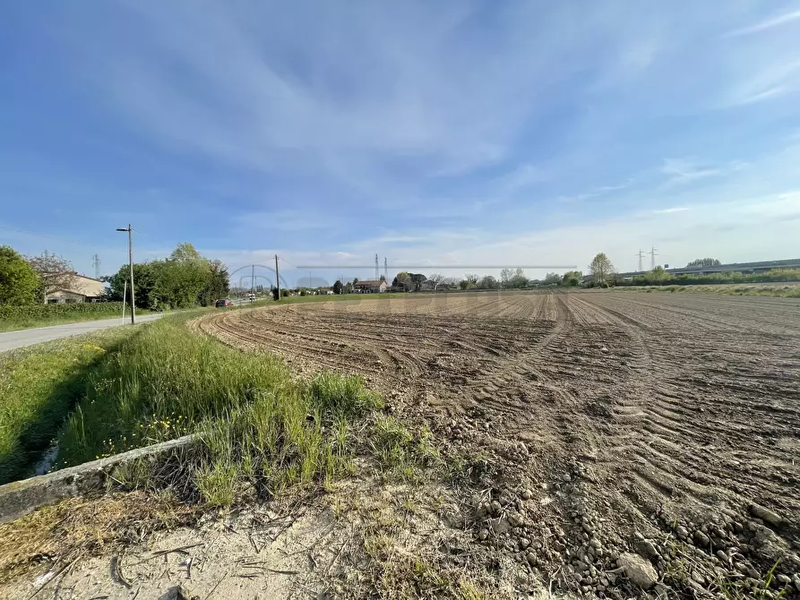 Immagine 3 di Terreno agricolo in vendita  in Via Barcarola 31 a Cadoneghe