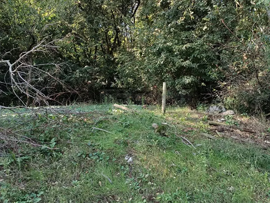 Immagine 20 di Terreno agricolo in vendita  in Via Castellaro a Castegnero