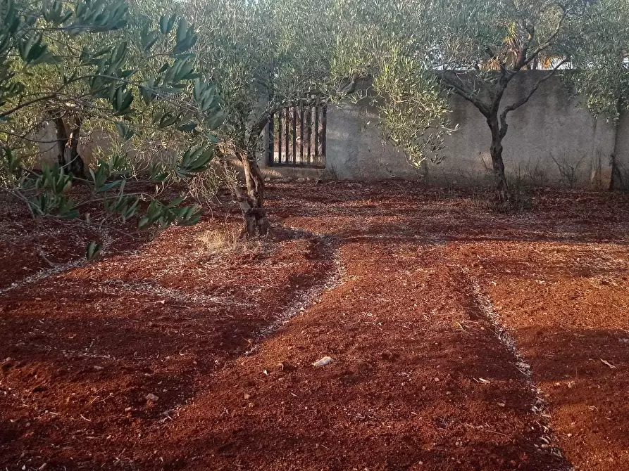 Immagine 4 di Villa in vendita  a Mazara Del Vallo
