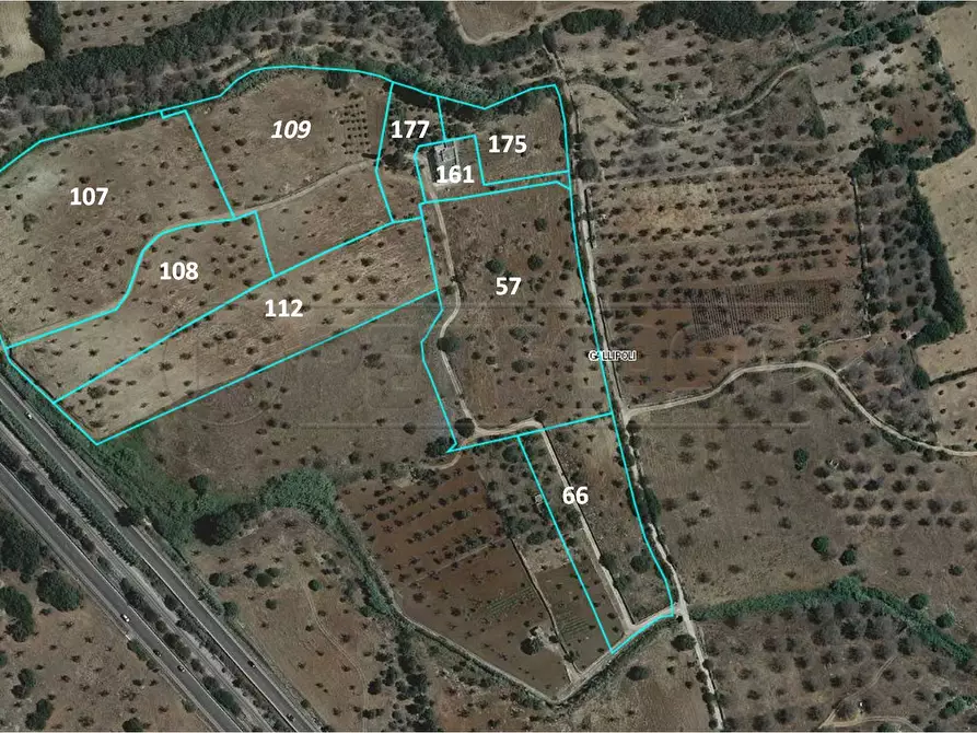 Immagine 2 di Rustico / casale in vendita  in Salentina Meridionale 12 a Gallipoli