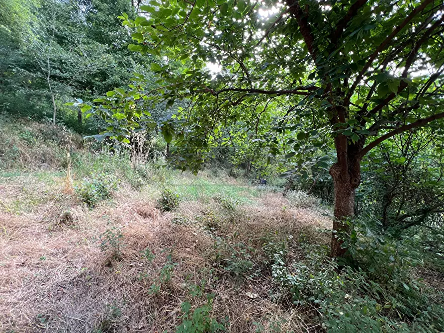 Immagine 19 di Porzione di casa in vendita  in VIA a Val Liona