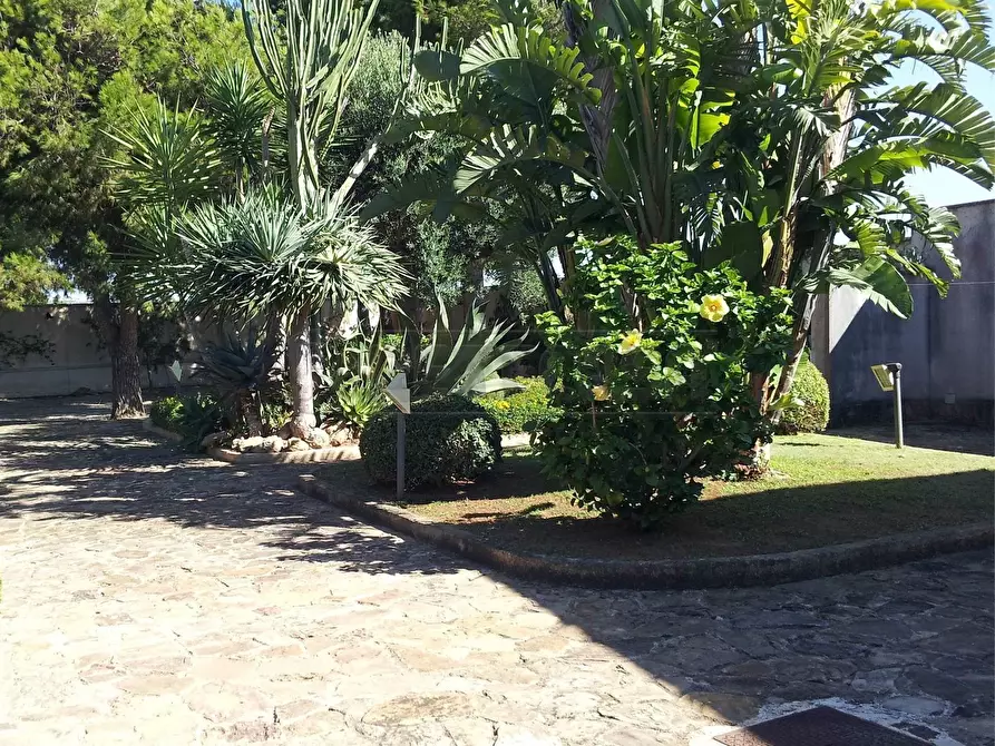 Immagine 4 di Villa in vendita  in contrada spagnola snc a Marsala