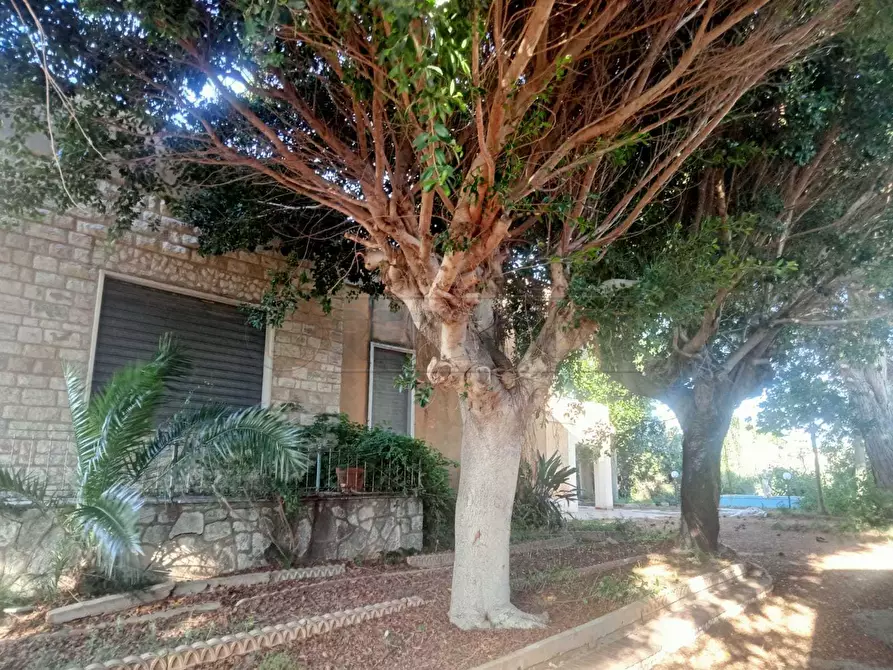 Immagine 7 di Villa in vendita  a Castelvetrano