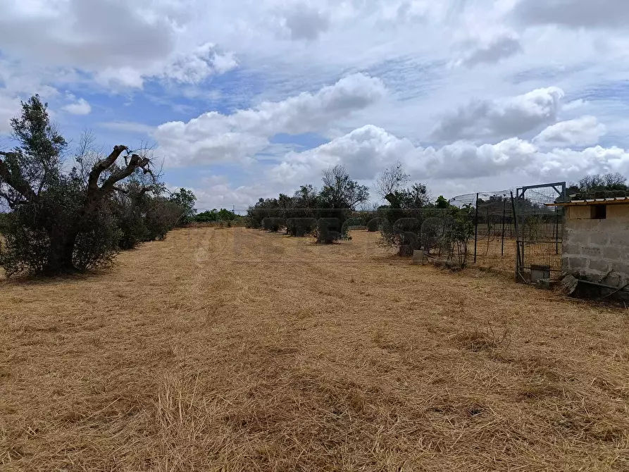 Immagine 5 di Terreno agricolo in vendita  a Corigliano D'otranto