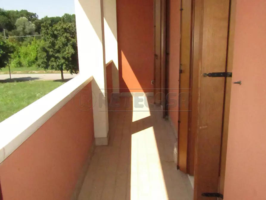 Immagine 4 di Appartamento in affitto  a Borgoricco