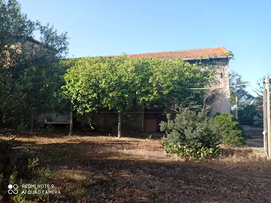 Immagine 54 di Villa in vendita  a Marsala