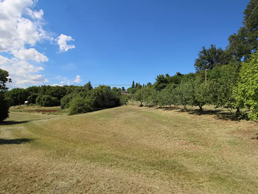 Immagine 1 di Rustico / casale in vendita  in Via Arcisi 8 a Val Liona