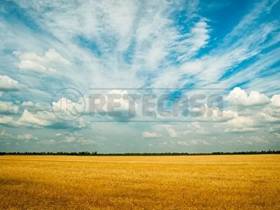 Immagine 11 di Terreno agricolo in vendita  in Via Barcarola 31 a Cadoneghe