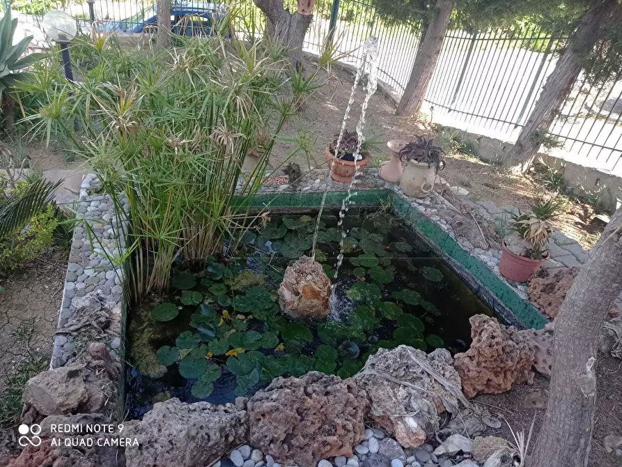 Immagine 50 di Villa in vendita  a Marsala
