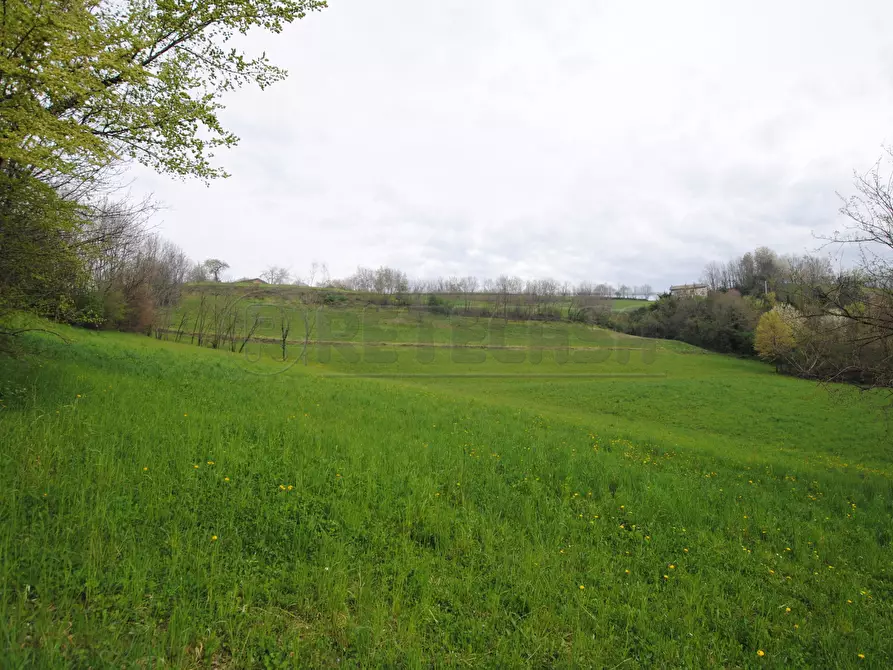 Immagine 3 di Terreno edificabile in vendita  in via rigon snc a Brogliano