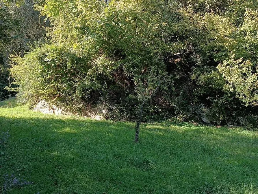 Immagine 22 di Terreno agricolo in vendita  in Via Castellaro a Castegnero