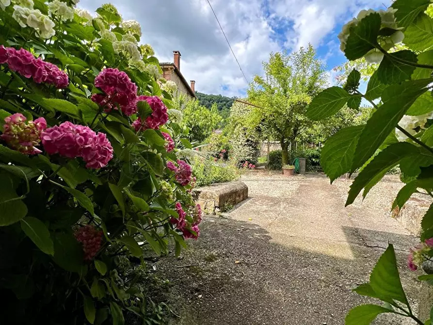 Immagine 1 di Rustico / casale in vendita  a Montecchio Maggiore