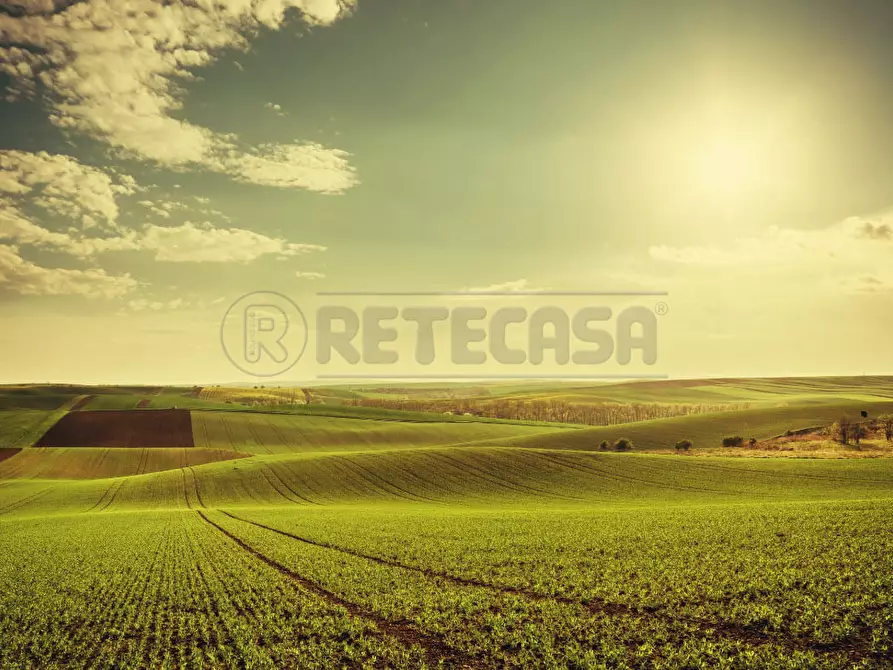 Immagine 9 di Terreno agricolo in vendita  in Via Barcarola 31 a Cadoneghe